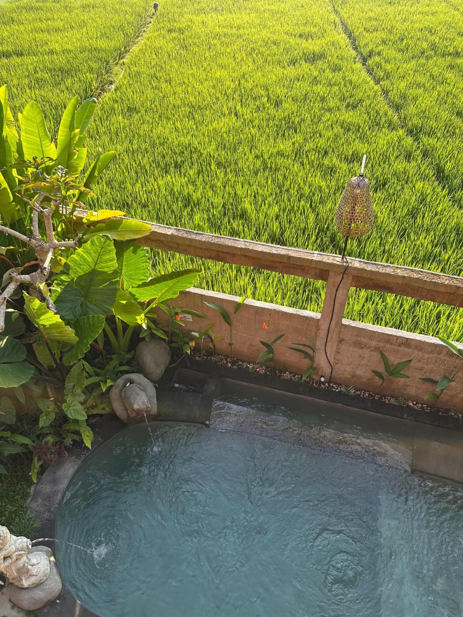 Aditara Sebatu Villa Ubud Exterior foto